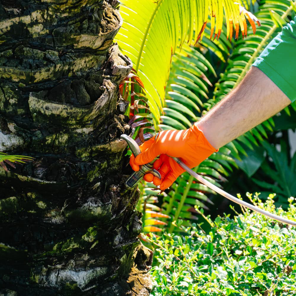 Pest control tech performing termite prevetion